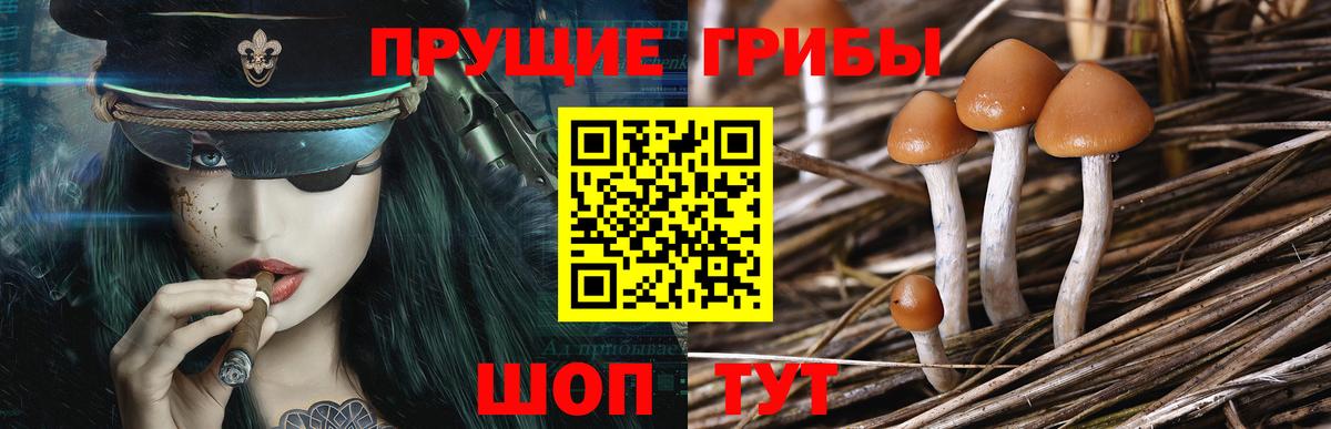 Псилоцибиновые грибы ЛСД Усинск